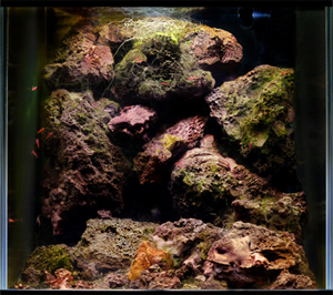 Lava 17 liter